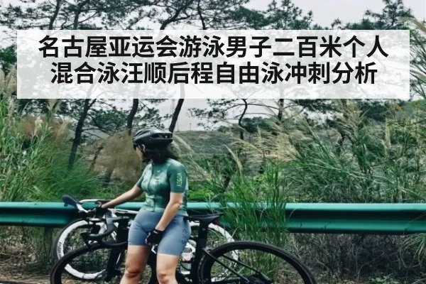 名古屋亚运会游泳男子二百米个人混合泳汪顺后程自由泳冲刺分析